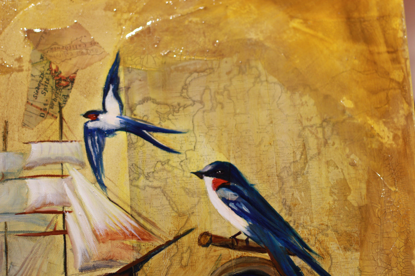 Balance and Belonging image 2