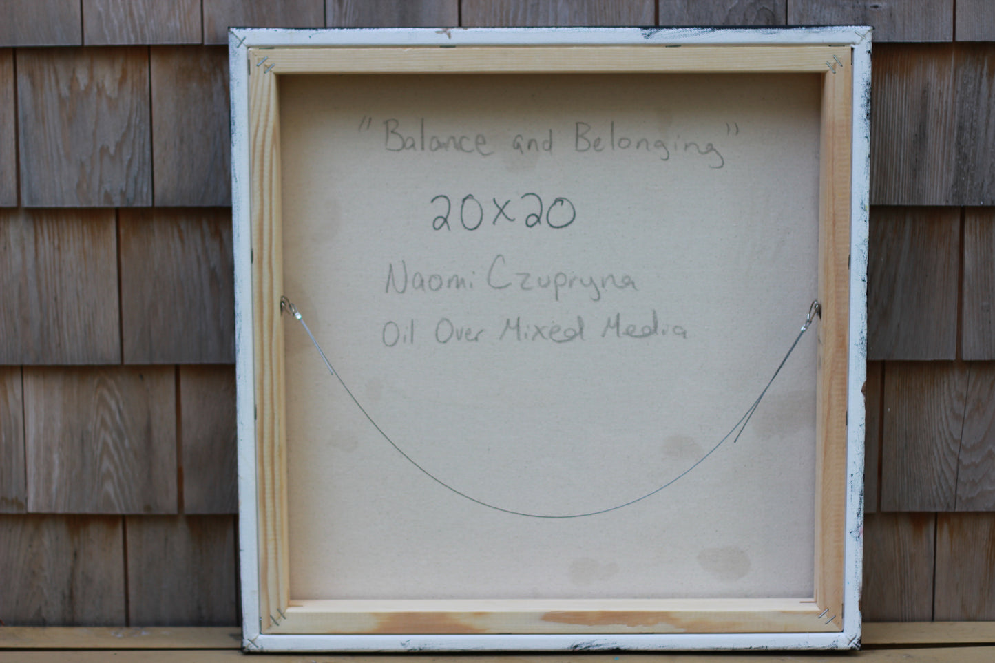 Balance and Belonging image 9