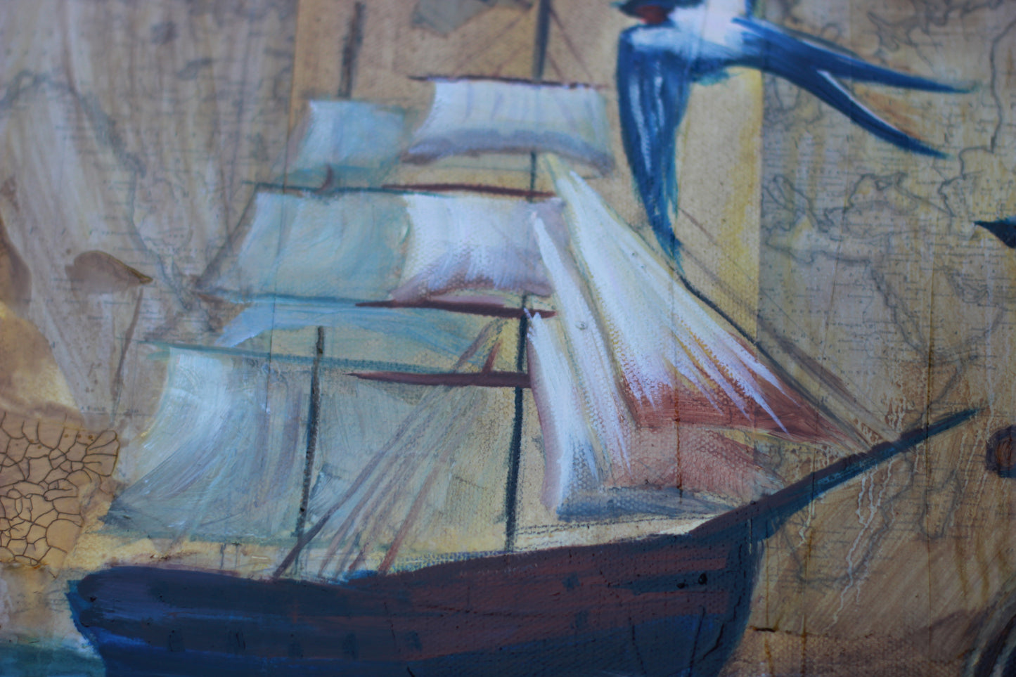Balance and Belonging image 8