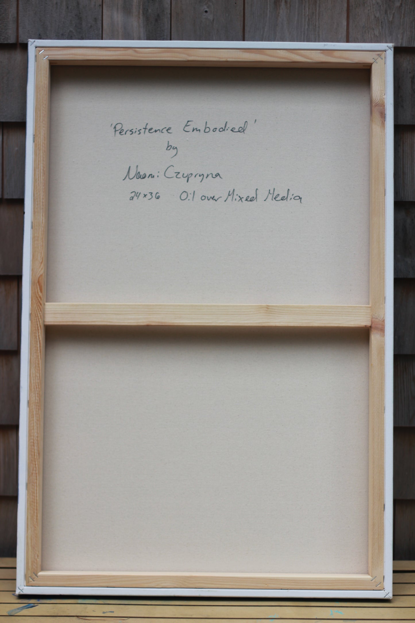 Persistence Embodied image 7