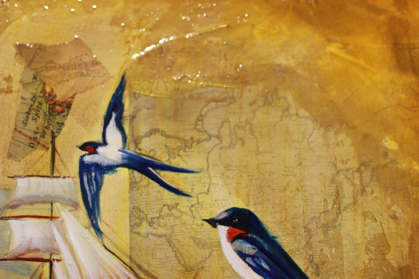 Balance and Belonging image 3