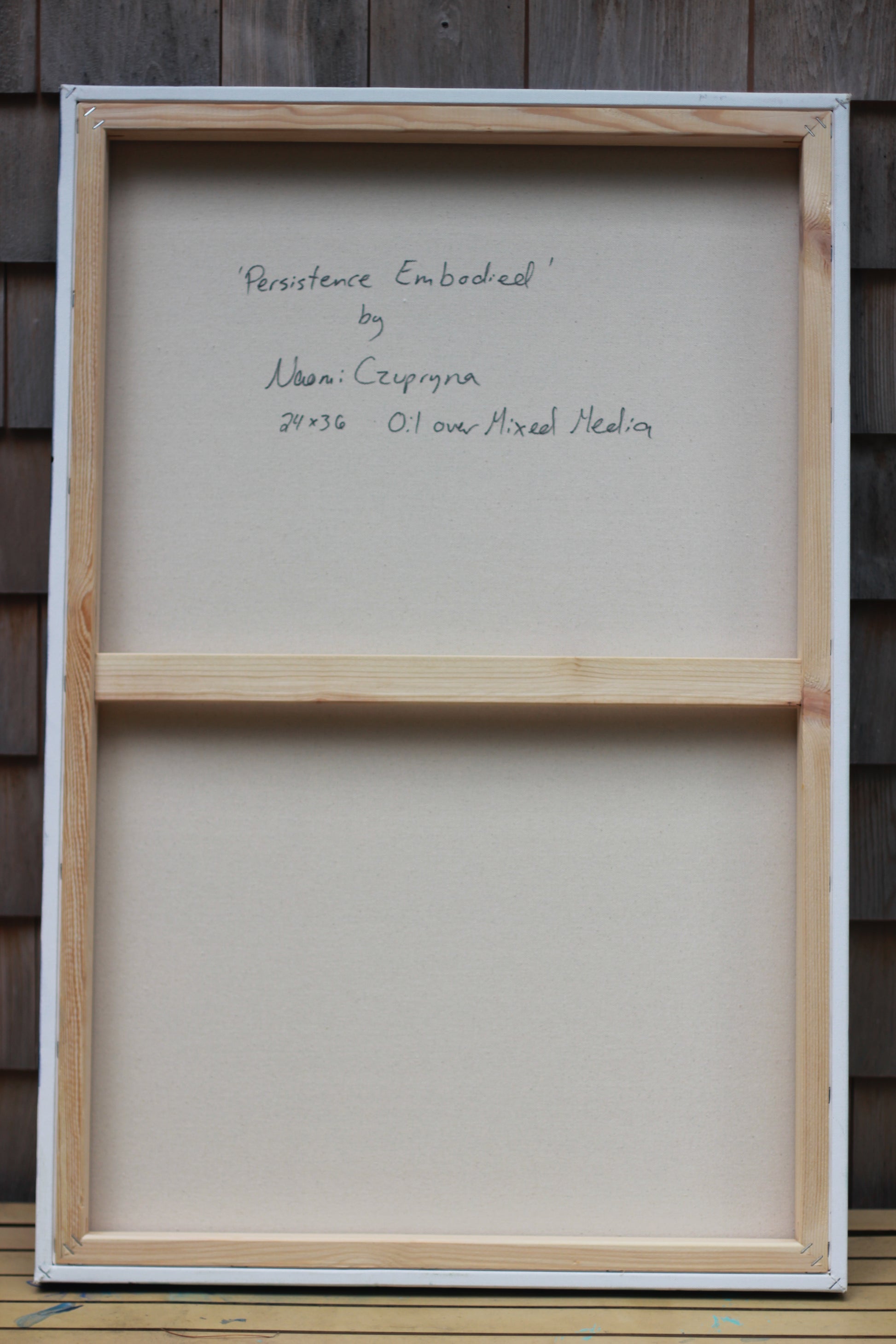 Persistence Embodied image 7